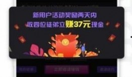 红发徽章爆料视频大全下载,揭秘幕后真相与精彩瞬间